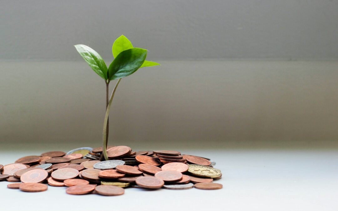 environmental-social-governance-esg-investment
